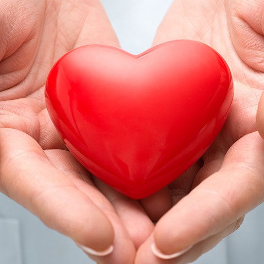 hands holding a heart